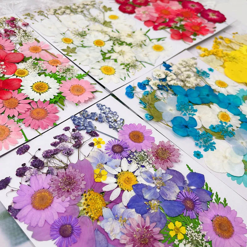 Tiny Dried Flowers – Press Kit for Crafts