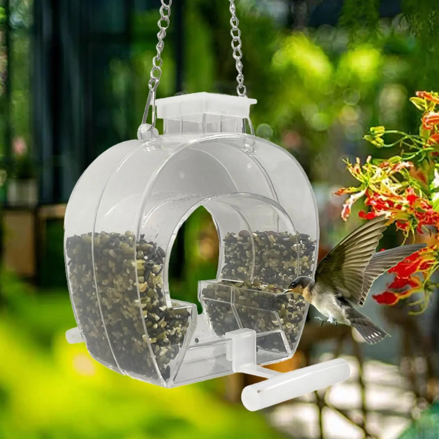 Clear Acrylic Window Bird Feeder, Outdoor Hanging with Chain