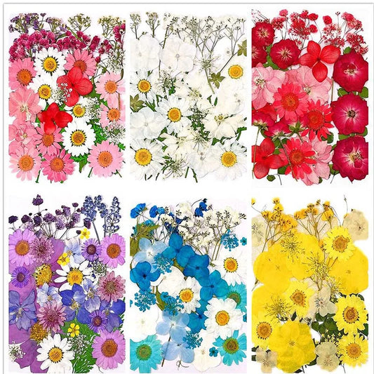 Real Natural Small Dried Pressed Flowers Leaves Wholesale,Tiny Dry Flower Press Kit For Nail Art,Resin Jewellery,Candle Making