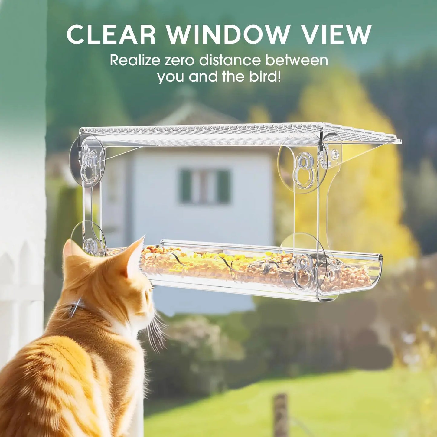 Window Bird Feeder with Suction Cups, Clear Outdoor Bird House