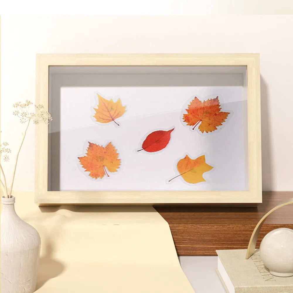 Floating Wood Deep Box Display Frame For Flowers & Memories