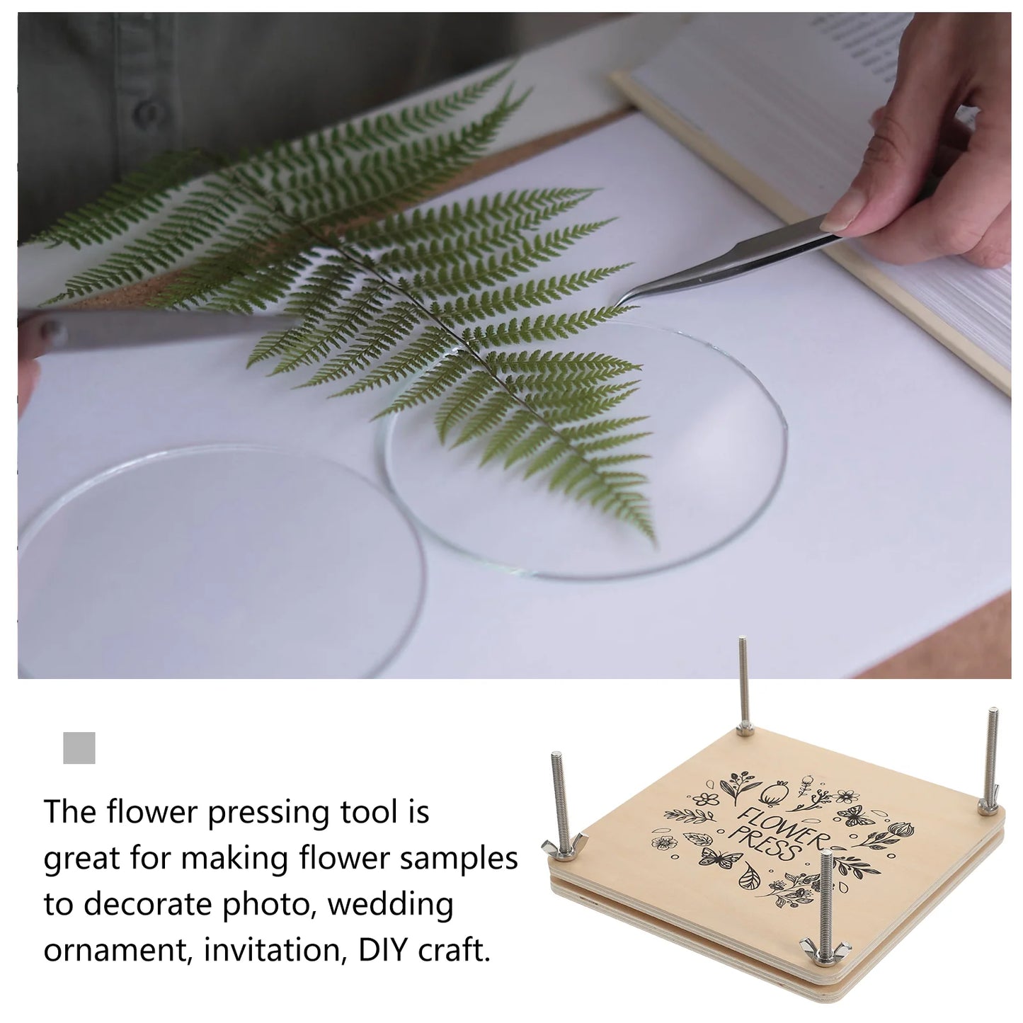 DIY Flower Embossing Tool – Plant Specimen Kit