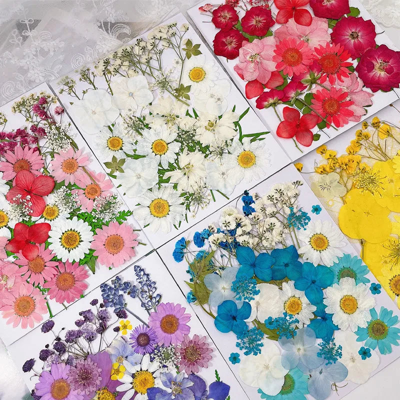 Tiny Dried Flowers – Press Kit for Crafts