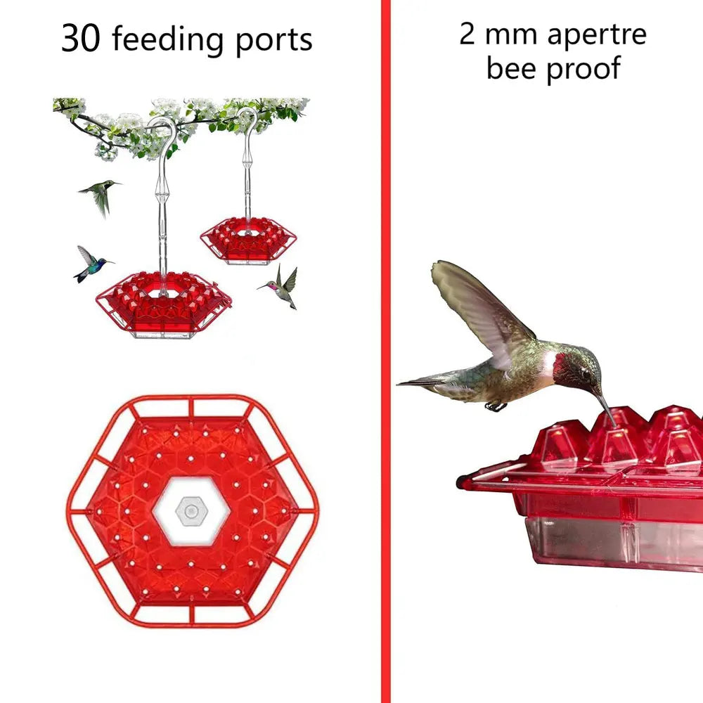 Hanging Hummingbird Feeder, Easy‑Clean & Refill, Perch & Ant Moat