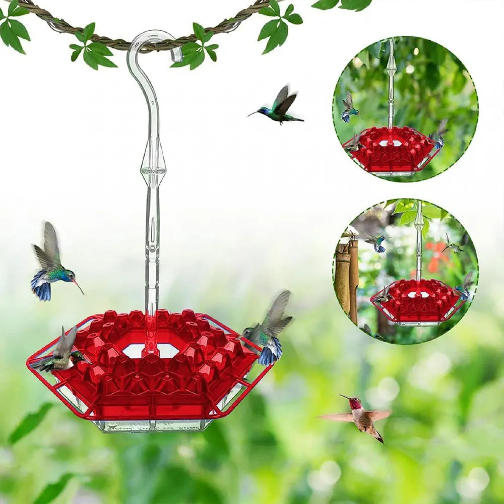 Hanging Hummingbird Feeder, Easy‑Clean & Refill, Perch & Ant Moat